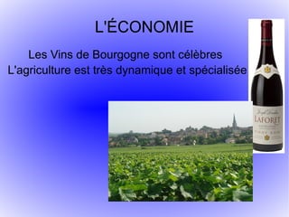 L'ÉCONOMIE
    Les Vins de Bourgogne sont célèbres
L'agriculture est très dynamique et spécialisée
 