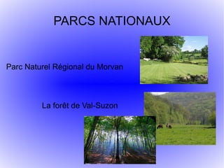 PARCS NATIONAUX


Parc Naturel Régional du Morvan



         La forêt de Val-Suzon
 