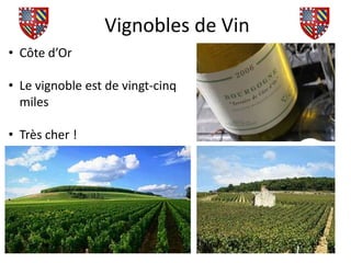 Vignobles de Vin
• Côte d’Or

• Le vignoble est de vingt-cinq
  miles

• Très cher !
 