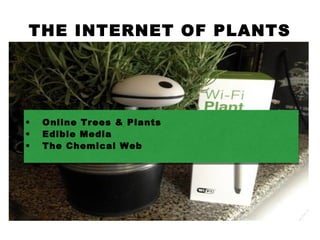 THE INTERNET OF PLANTS
• Online Trees & Plants
• Edible Media
• The Chemical Web
 