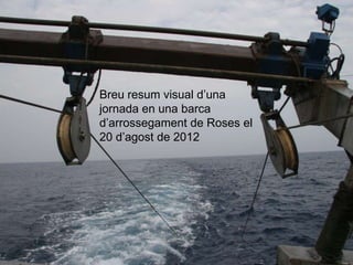 Breu resum visual d’una
jornada en una barca
d’arrossegament de Roses el
20 d’agost de 2012
 