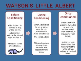 Watson’s Little Albert
  Before                During                 Once
Conditioning          Conditioning          conditioned
                                             When Albert was
 Baby “Albert” is     When Albert tried     presented with the
 allowed to play       to pet or come          rat again, he
  with a pet rat.       near the rat,         became scared,
                       Watson would         cried, and tried to
  Albert enjoys       make a loud noise.     move away from
petting the rat and                               the rat.
 does not fear it.    This scared Albert.


                      This scaring when       He had become
Albert was scared                            conditioned into
 of loud noises.        coming close
                        situation was        realizing that the
                       repeated many           white rat was
                            times.          related to the loud
                                                   noise.
 