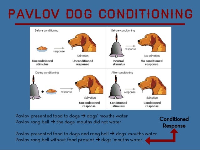 Ivan Pavlov s Theory Of Classical Conditioning