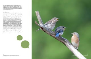 De yngste befinner seg på et sted i verdikartet hvor det er
viktig å ha, mens de eldste er mer opptatt av å tilhøre. Hvor
målgruppene dine er plassert i verdilandskapet kan gi viktige
innspill både til hvordan du skal formidle ditt budskap og til
hvordan du skal pakke det inn.


OG SVARET ER?
Norsk Monitors database inneholder ingen objektive sannheter,
men kan peke på noen viktige tendenser som kan være nyttig å
ta med seg når du skal utarbeide din virksomhets flerkanal-
strategi. Ved å tenke flerkanalstrategi ut fra egen forretnings-
modell og de mulighetene som ligger i mediesynergier, setter
du brukeren i førersetet og bygger ditt innhold og dine
tjenester rundt henne. Til tross for at vi befinner oss i fler-
kanaleriets storhetstid er det lite vits å blogge for bloggens
skyld. Før du velger kommunikasjonskanal må du ta et skritt
tilbake, ta en kikk på egen kommunikasjonsstrategi, forret-
ningsmodell og dine målgrupper for deretter vurdere hvor i
medielandskapet det er mest hensiktsmessig for deg å etablere
deg. For å treffe best mulig bør du benytte de kanalene mål-
gruppene dine faktisk bruker. Det kan være smart å spille på
lag med dem i en 2.0-tid hvor folk har endret rolle fra passive
konsumenter til aktive markedspåvirkere. Det kan være at det
innebærer at du må snu deg rundt og tenke nytt på det du
ønsker å oppnå forretningsmessig. Slik at du ikke tenker som
Matthew Lynn i nyhetsbyrået Bloomberg om iPhone første
gang den ble annonsert; ”iPhonen er ikke annet enn en luksus-
greie som kun vil være av interesse for noen få dingsefriker”.




23                                                                                                                24
FLERKANALSSTRATEGI I MEDIESYNERGIENES STORHETSTID                  FLERKANALSSTRATEGI I MEDIESYNERGIENES STORHETSTID
PERSPEKTIV                                                                                                PERSPEKTIV
 