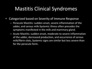 Mastitis Clinical Syndromes
• Categorized based on Severity of Immune Response
– Peracute Mastitis: sudden onset, severe inflammation of the
udder, and serous milk-Systemic illness often precedes the
symptoms manifested in the milk and mammary gland.
– Acute Mastitis: sudden onset, moderate to severe inflammation
of the udder, decreased production, and occurrence of serous
milk/fibrin clots, Systemic signs are similar but less severe than
for the peracute form.
 