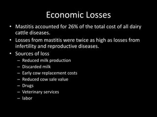 Economic Losses
• Mastitis accounted for 26% of the total cost of all dairy
cattle diseases.
• Losses from mastitis were twice as high as losses from
infertility and reproductive diseases.
• Sources of loss
– Reduced milk production
– Discarded milk
– Early cow replacement costs
– Reduced cow sale value
– Drugs
– Veterinary services
– labor
 