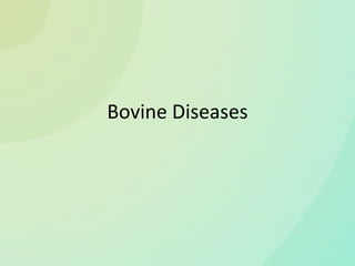 Bovine Diseases
 