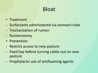 Bovine diseases | PPTX