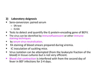 Bovine Epemeral Fever Disease: Introduction | PPTX