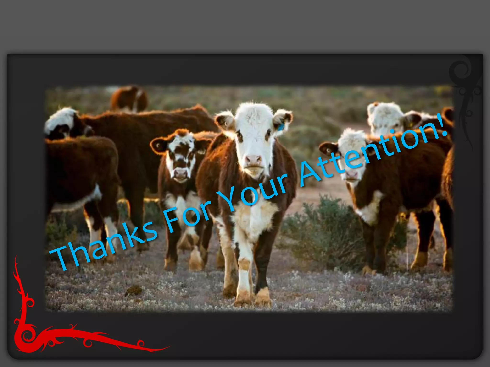 Bovine ephemeral fever PPT