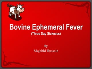 Bovine Ephemeral Fever
(Three Day Sickness)
By
Mujahid Hussain
 