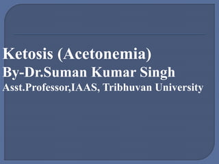 Ketosis (Acetonemia)
By-Dr.Suman Kumar Singh
Asst.Professor,IAAS, Tribhuvan University
 