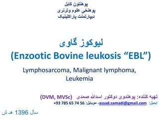 ‫گاوی‬ ‫لیوکوز‬
(Enzootic Bovine leukosis “EBL”)
‫کننده‬ ‫تهیه‬:‫صمدی‬ ‫اسدهللا‬ ‫دوکتور‬ ‫پوهندوی‬(DVM, MVSc)
‫ایمیل‬:assad.samadi@gmail.com‫موبایل‬ ،:+93 785 65 74 56
‫کابل‬ ‫پوهنتون‬
‫وترنری‬ ‫علوم‬ ‫ی‬ً‫پوهنح‬
‫پاراکلینیک‬ ‫دیپارتمنت‬
Lymphosarcoma, Malignant lymphoma,
Leukemia
‫سال‬1396‫ش‬ ‫هـ‬
 