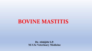 Dr. Abhijith S.P.
M.V.Sc Veterinary Medicine
BOVINE MASTITIS
 