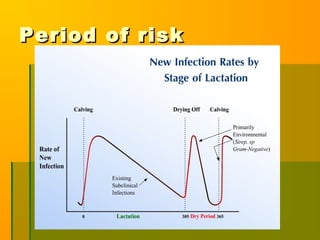 Period of riskPeriod of risk
 