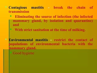  Contagious mastitis - break the chain of
transmission
 Eliminating the source of infection (the infected
mammary gland, by isolation and quarantine)
and
 With strict sanitation at the time of milking.
 Environmental mastitis - restrict the contact of
populations of environmental bacteria with the
mammary gland.
 Good hygiene
 