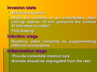  Invasion stateInvasion state
 Minimise exposureMinimise exposure
 Avoid the animals to sit immediately afterAvoid the animals to sit immediately after
calving, approx. 10 min (prevents the contactcalving, approx. 10 min (prevents the contact
of microbes to udder).of microbes to udder).
 Teat dippingTeat dipping
 Infection stageInfection stage
 Boosting udder immunity by supplementingBoosting udder immunity by supplementing
different antioxidantsdifferent antioxidants
 Inflammation stageInflammation stage
 Provide immediate medical careProvide immediate medical care
 Animals should be segregated from the rest.Animals should be segregated from the rest.
 