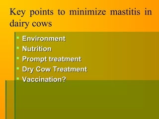 Key points to minimize mastitis in
dairy cows
 EnvironmentEnvironment
 NutritionNutrition
 Prompt treatmentPrompt treatment
 Dry Cow TreatmentDry Cow Treatment
 Vaccination?Vaccination?
 