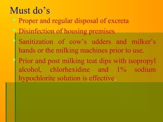 Must do’s
 Proper and regular disposal of excreta
 Disinfection of housing premises
 Sanitization of cow’s udders and milker’s
hands or the milking machines prior to use.
 Prior and post milking teat dips with isopropyl
alcohol, chlorhexidine and 1% sodium
hypochlorite solution is effective.
 