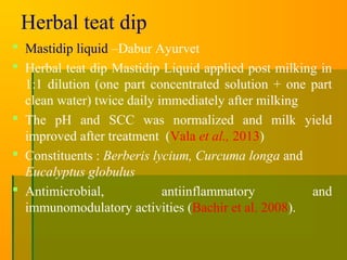 Herbal teat dip
 Mastidip liquid –Dabur Ayurvet
 Herbal teat dip Mastidip Liquid applied post milking in
1:1 dilution (one part concentrated solution + one part
clean water) twice daily immediately after milking
 The pH and SCC was normalized and milk yield
improved after treatment (Vala et al., 2013)
 Constituents : Berberis lycium, Curcuma longa and
Eucalyptus globulus
 Antimicrobial, antiinflammatory and
immunomodulatory activities (Bachir et al. 2008).
 