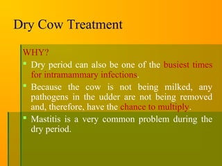 Dry Cow Treatment
WHY?
 Dry period can also be one of the busiest times
for intramammary infections.
 Because the cow is not being milked, any
pathogens in the udder are not being removed
and, therefore, have the chance to multiply.
 Mastitis is a very common problem during the
dry period.
 