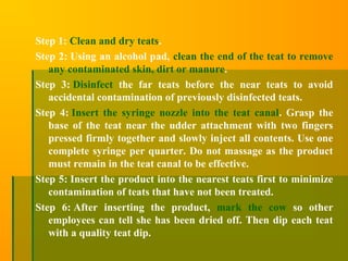 Step 1: Clean and dry teats.
Step 2: Using an alcohol pad, clean the end of the teat to remove
any contaminated skin, dirt or manure.
Step 3: Disinfect the far teats before the near teats to avoid
accidental contamination of previously disinfected teats.
Step 4: Insert the syringe nozzle into the teat canal. Grasp the
base of the teat near the udder attachment with two fingers
pressed firmly together and slowly inject all contents. Use one
complete syringe per quarter. Do not massage as the product
must remain in the teat canal to be effective.
Step 5: Insert the product into the nearest teats first to minimize
contamination of teats that have not been treated.
Step 6: After inserting the product, mark the cow so other
employees can tell she has been dried off. Then dip each teat
with a quality teat dip.
 