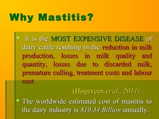 Why Mastitis?
 It is theIt is the MOST EXPENSIVE DISEASEMOST EXPENSIVE DISEASE ofof
dairy cattle resulting in thedairy cattle resulting in the reduction in milkreduction in milk
production, losses in milk quality andproduction, losses in milk quality and
quantity, losses due to discarded milk,quantity, losses due to discarded milk,
premature culling, treatment costs and labourpremature culling, treatment costs and labour
costcost
(Hogeveen(Hogeveen et al., 2011).et al., 2011).
 The worldwide estimated cost of mastitis toThe worldwide estimated cost of mastitis to
the dairy industry isthe dairy industry is $10.34 Billion$10.34 Billion annually.annually.
 