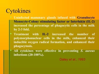Cytokines
 Uninfected mammary glands infused with Granulocyte
Monocyte-Colony stimulating factor or Interlukin (IL-2)
increased the percentage of phagocytic cells in the milk
by 2-3 fold.
 Treatment with IL-2 increased the number of
polymorphonuclear cells in the milk, enhanced their
inducible oxygen radical formation, and enhanced their
phagocytosis.
 All cytokines were effective in preventing S. aureus
infections (20-100%).
Daley et al., 1993
 