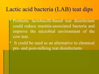Lactic acid bacteria (LAB) teat dips
 Probiotic lactobacilli-based teat disinfectant
could reduce mastitis-associated bacteria and
improve the microbial environment of the
cow teat.
 It could be used as an alternative to chemical
pre- and post-milking teat disinfectants
 