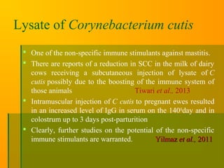 Lysate of Corynebacterium cutis
 One of the non-specific immune stimulants against mastitis.
 There are reports of a reduction in SCC in the milk of dairy
cows receiving a subcutaneous injection of lysate of C
cutis possibly due to the boosting of the immune system of
those animals Tiwari et al., 2013
 Intramuscular injection of C cutis to pregnant ewes resulted
in an increased level of IgG in serum on the 140th
day and in
colostrum up to 3 days post-parturition
 Clearly, further studies on the potential of the non-specific
immune stimulants are warranted. YilmazYilmaz et al.,et al., 20112011
 
