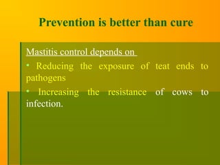 Prevention is better than cure
Mastitis control depends on
• Reducing the exposure of teat ends to
pathogens
• Increasing the resistance of cows to
infection.
 