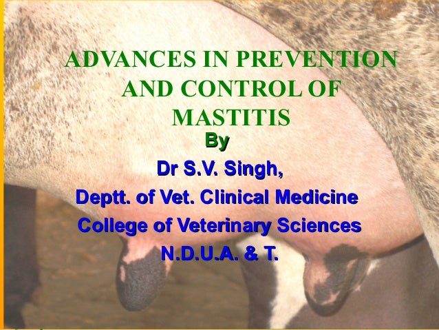 Bovine Mastitis Prevention And Control