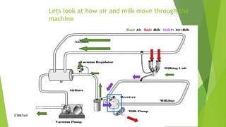 Lets look at how air and milk move through the
machine
© MilkTech International
Blue= Air Red= Milk Violet= Air+Milk
 