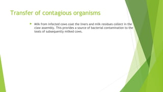 Transfer of contagious organisms
 Milk from infected cows coat the liners and milk residues collect in the
claw assembly. This provides a source of bacterial contamination to the
teats of subsequently milked cows.
 