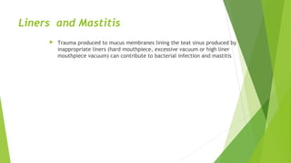 Liners and Mastitis
 Trauma produced to mucus membranes lining the teat sinus produced by
inappropriate liners (hard mouthpiece, excessive vacuum or high liner
mouthpiece vacuum) can contribute to bacterial infection and mastitis
 