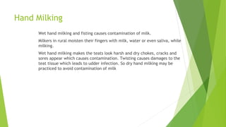 Hand Milking
Wet hand milking and fisting causes contamination of milk.
Milkers in rural moisten their fingers with milk, water or even saliva, while
milking.
Wet hand milking makes the teats look harsh and dry chokes, cracks and
sores appear which causes contamination. Twisting causes damages to the
teat tissue which leads to udder infection. So dry hand milking may be
practiced to avoid contamination of milk
 