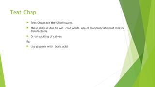 Teat Chap
 Teat Chaps are the Skin fissures
 These may be due to wet, cold winds, use of inappropriate post milking
disinfectants
 Or by suckling of calves
Rx
 Use glycerin with boric acid
 