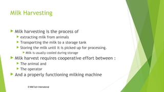 Milk Harvesting
 Milk harvesting is the process of
 extracting milk from animals
 Transporting the milk to a storage tank
 Storing the milk until it is picked up for processing.
 Milk is usually cooled during storage
 Milk harvest requires cooperative effort between :
 The animal and
 The operator
 And a properly functioning milking machine
© MilkTech International
 
