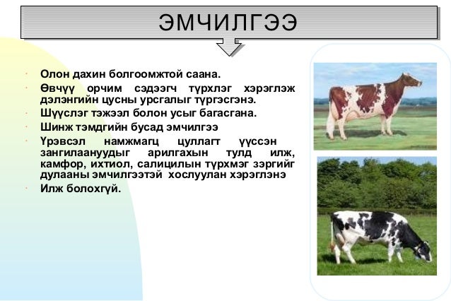 Үнээний дэлэнгийн үрэвсэл