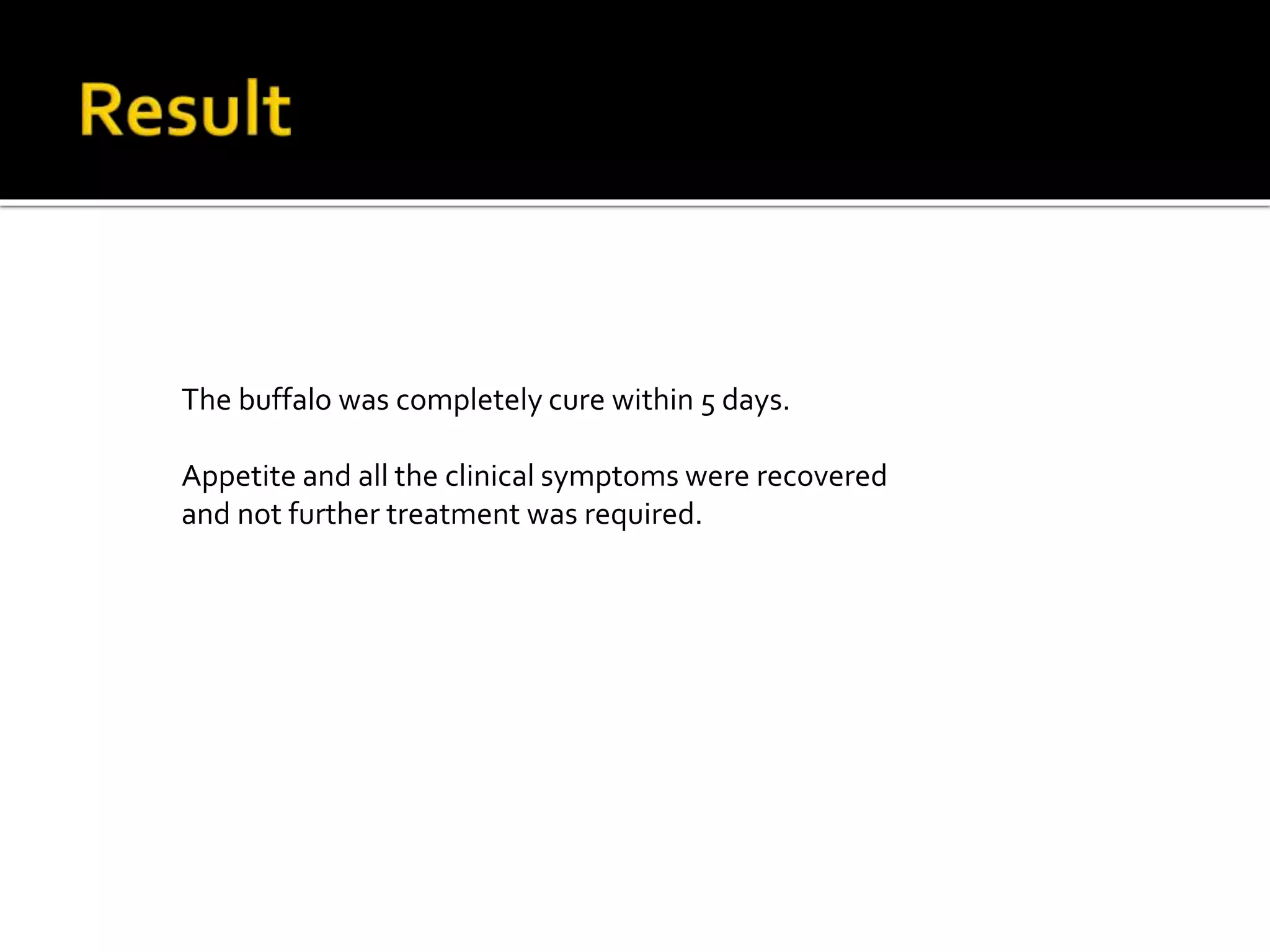 Bovine microfilareasis PPT