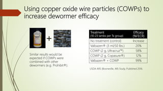 Current recommendations for internal parasite control in small ...