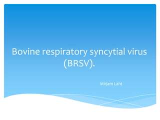Bovine respiratory syncytial virus
            (BRSV).
                      Mirjam Laht
 