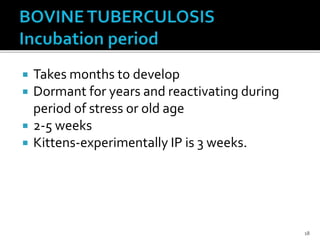  Takes months to develop
 Dormant for years and reactivating during
period of stress or old age
 2-5 weeks
 Kittens-experimentally IP is 3 weeks.
18
 