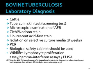  Cattle:
 Tuberculin skin test (screening test)
 Microscopic examination of AFB
 Ziehl/Neelson stain
 Flourescent acid-fast stain
 Isolation on selective culture media (8 weeks)
 PCR
 Biological safety cabinet should be used
 Wildlife: Lymphocyte proliferation
assay/gamma-interferon assays / ELISA
(D.V. Cousins & N. FlorissonA review of tests available for use in the diagnosis of tuberculosis in non-
bovine species, Rev. sci. tech. Off. int. Epiz., 2005, 24(3), 1039-1059)
24
 