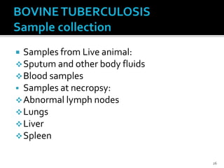  Samples from Live animal:
Sputum and other body fluids
Blood samples
 Samples at necropsy:
Abnormal lymph nodes
Lungs
Liver
Spleen
26
 