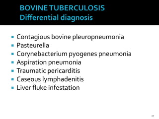  Contagious bovine pleuropneumonia
 Pasteurella
 Corynebacterium pyogenes pneumonia
 Aspiration pneumonia
 Traumatic pericarditis
 Caseous lymphadenitis
 Liver fluke infestation
27
 