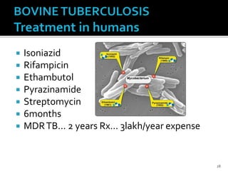  Isoniazid
 Rifampicin
 Ethambutol
 Pyrazinamide
 Streptomycin
 6months
 MDRTB… 2 years Rx… 3lakh/year expense
28
 