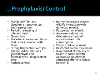  MandatoryTest-and-
slaughter strategy or test-
and-segregation.
 Periodic re-testing of
infected herd
 Quarantine
 Trace back reactor and those
that came in contact with
them
 Strong Disinfection with 5%
phenol, iodine solutions,
glutarldehyde and
formadehyde…long contact
time
 Rodent control
 Barrier the area to prevent
wildlife interaction with
domestic animals.
 Pasteurization of milk
 Awareness about the
deleterious effects of
unpasteurized milk
consumption.
 Proper cooking of meat.
 Restricted animal movement.
 Involvement of ministry of
health in coalition with
agriculture industry for
combined efforts to reduce
bovineTB.
30
 