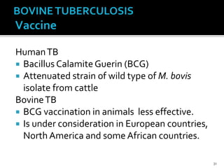 HumanTB
 Bacillus CalamiteGuerin (BCG)
 Attenuated strain of wild type of M. bovis
isolate from cattle
BovineTB
 BCG vaccination in animals less effective.
 Is under consideration in European countries,
North America and some African countries.
31
 