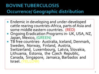  Endemic in developing and under-developed
cattle rearing countries-Africa, parts of Asia and
some middle eastern countries. (RED)
 Ongoing Eradication Programs in- UK, USA, NZ,
Japan, Mexico, (GREEN)
 TB free countries- Australia, Iceland, Denmark,
Sweden, Norway, Finland, Austria,
Switzerland, Luxembourg, Latvia, Slovakia,
Lithuania, Estonia, the Czech Republic,
Canada, Singapore, Jamaica, Barbados and
Israel. (YELLOW)
8
 